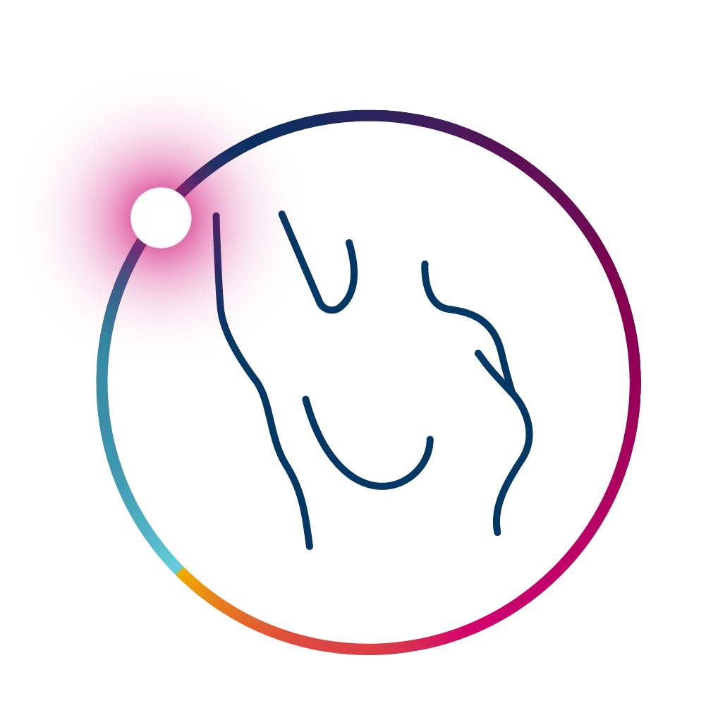 Breast icon