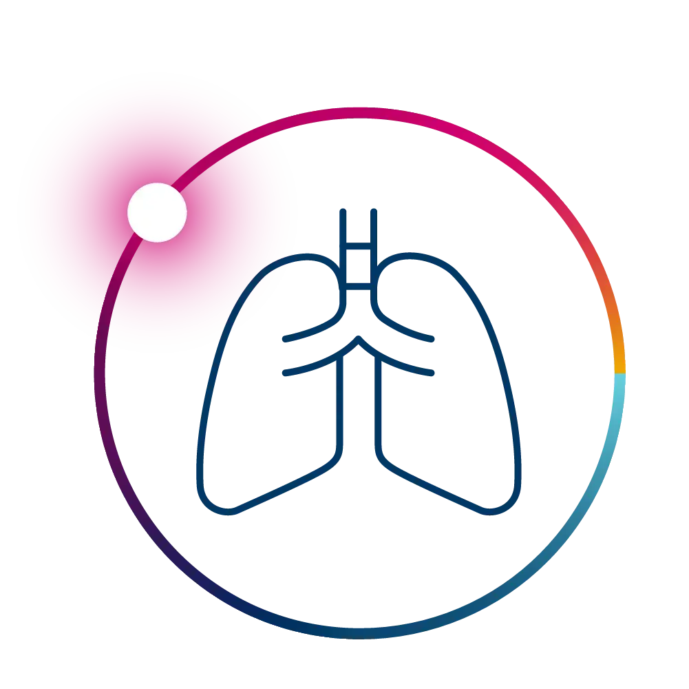 Lung icon