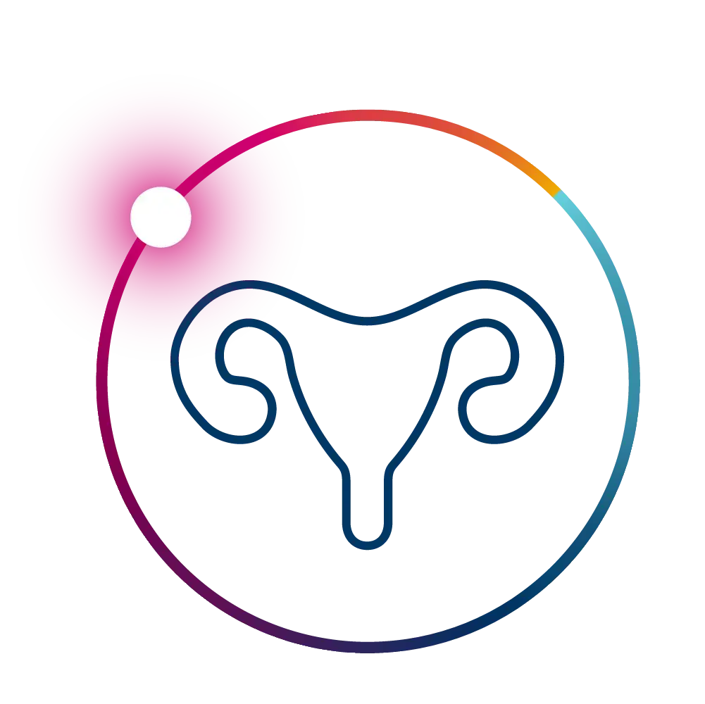 Ovarian icon