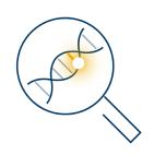 Investigate DNA icon