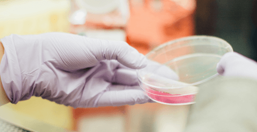 Hand of scientist holding petri dish Hand of scientist holding petri dish