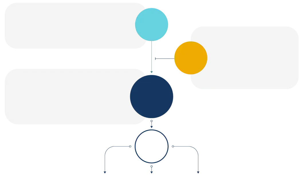 Overview of the PI3K/AKT/PTEN pathway diagram