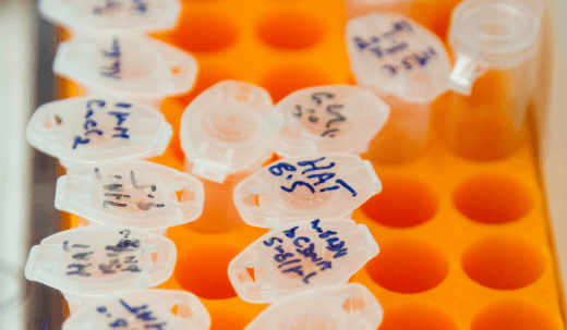 Labeled Lab Sample Tubes