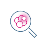 magnifying-glass-icon