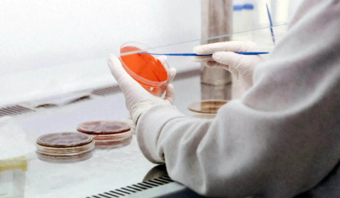 Scientist holding Petri dish Scientist holding Petri dish