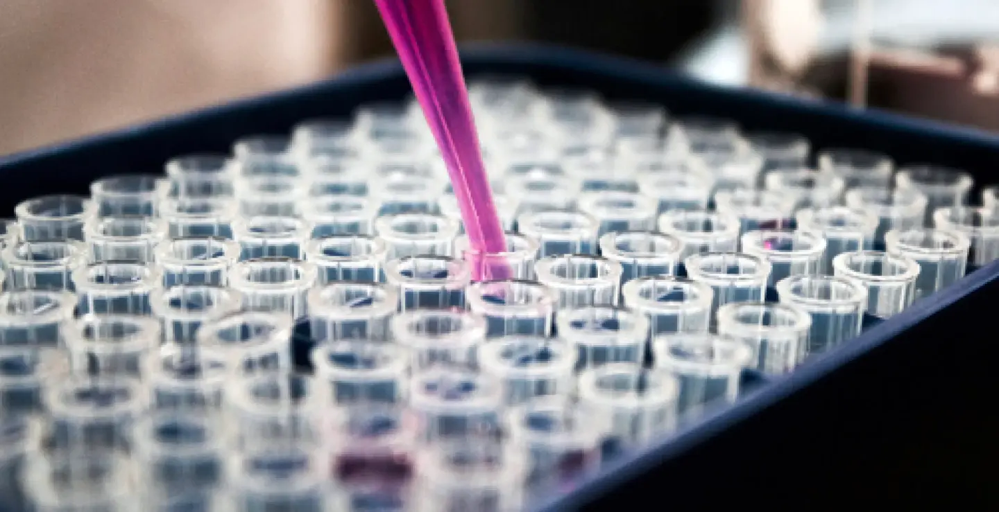 Lab with many samples Lab with many samples