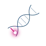 Explore novel biomarkers in mNSCLC