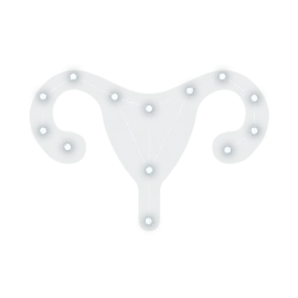 Ovarian cancer constellation icon