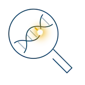 Investigate DNA icon