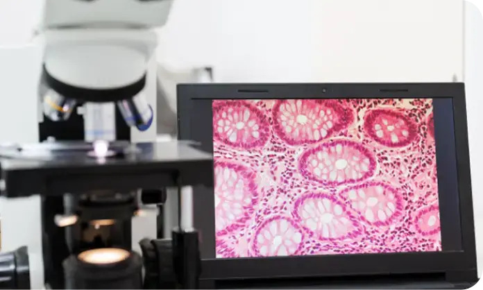 Pace of Precision Medicine