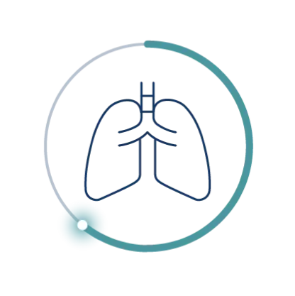 Lung icon