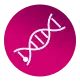 DNA icon
