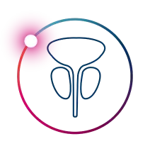 Prostate Tumor Guidelines Icon