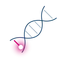 HRR Mutation Testing Insights Icon