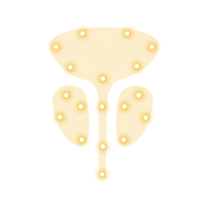 Precision Medicine in Prostate Cancer Icon